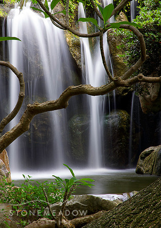Falls, Chinese Gardens