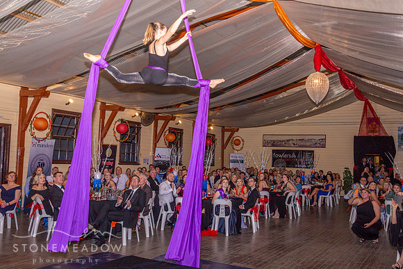 Show Ball-088