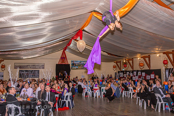 Show Ball-089