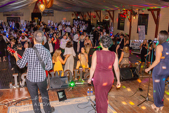 Show Ball-151