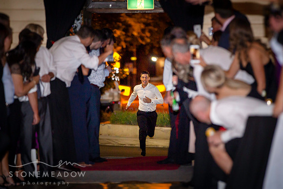 Show Ball-173