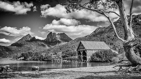 Cradel Mountain and Dove Lake