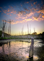 IMG_0250-Edit