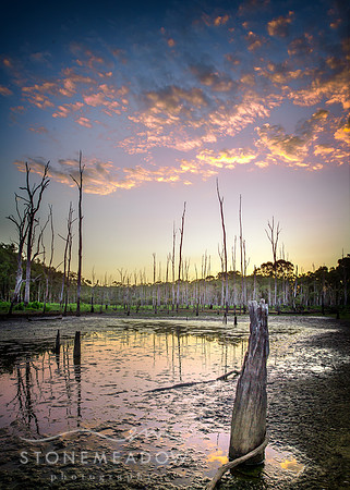 IMG_0250-Edit